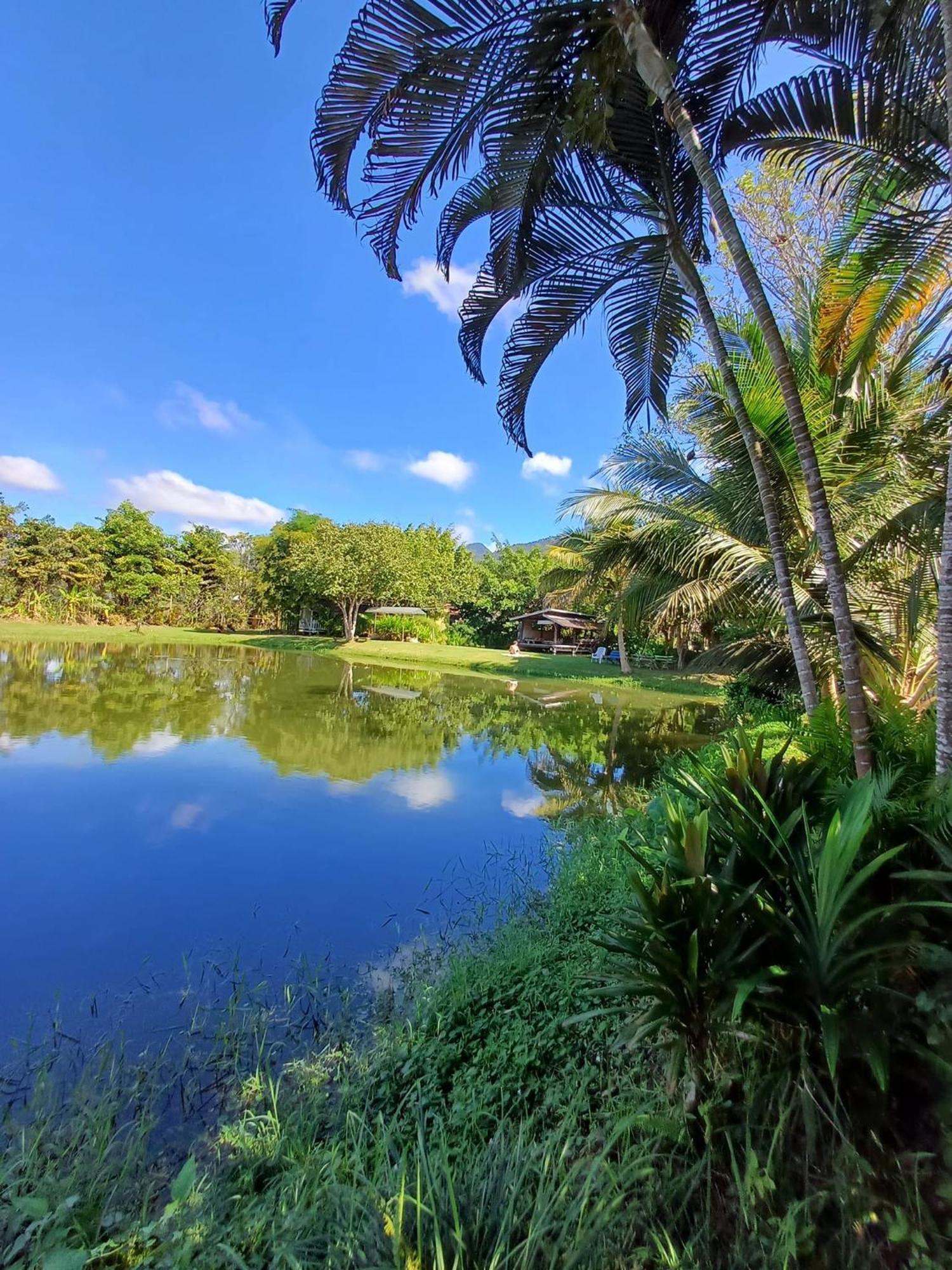 Bueng Pai Farm บึงปายฟาร์ม Villa Bagian luar foto