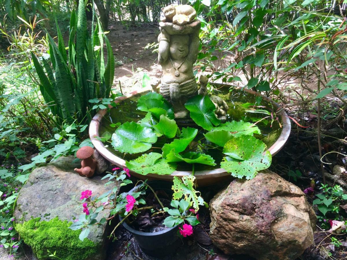 Bueng Pai Farm บึงปายฟาร์ม Villa Bagian luar foto